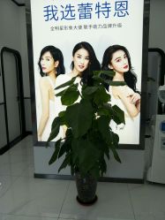 -蕾特恩专业祛痘国际连锁