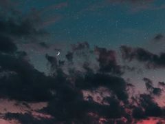 -良友·海鲜青岛菜(五四广场店)