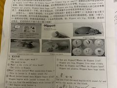 -瑞思少儿中心·少儿英语素养启蒙(勒泰直营校区)