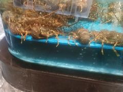 -阿伟海鲜楼·福建菜(延寿店)