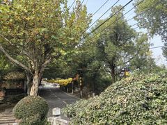 -张公山寨景区
