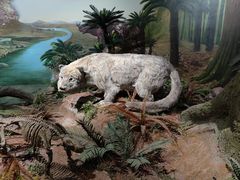 -湖南省地质博物馆