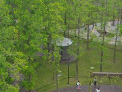 -黄海国家森林公园