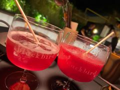 -毛辣果·酸(OHA复兴西路店)