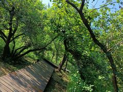 -北京十三陵国家森林公园蟒山景区