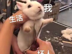 -星巴克(苏州平江万达广场店)