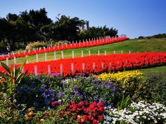 -深圳国际园林花卉博览园