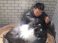 -趣玩宠物乐园寄养训犬训狗游泳池