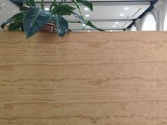 -上海财经大学(国定路校区)