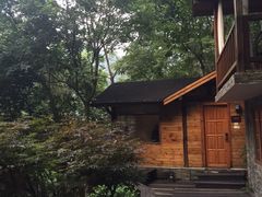 宁海森林温泉度假村-天明山温泉大酒店