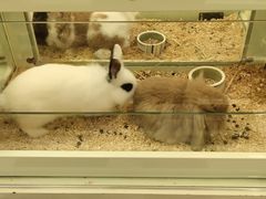 -龙猫仔乐园(惠福东路店)