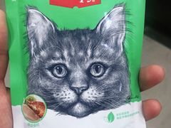 -佳雯宠物医院(金华南路分院)