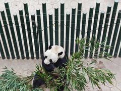 -沈阳森林动物园