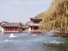 -百脉泉景区
