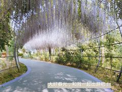 -大塘金香草谷