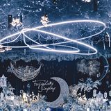 星月夜婚礼