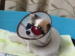 -畜牧兽医站(共江路店)