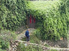 -杨家堂村