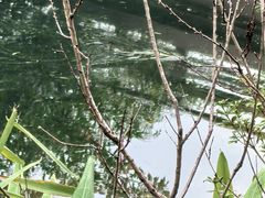 -云溪植物园