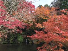 -醍醐寺