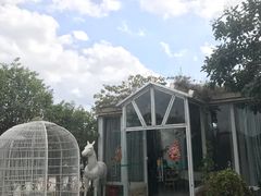 -花溪雨·森林餐厅(石基店)