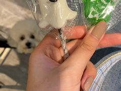 -狗道宠物(常熟印象城店)