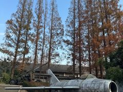 -枫泾古镇-人民公社旧址