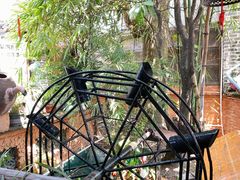 -园林美食城·本土农家菜(杨和镇店)