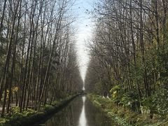 -合肥滨湖国家森林公园