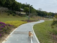 -风云岭森林公园