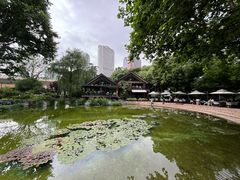 -静安公园(静安寺街道)