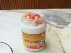 -唐猫庭院·千年陕菜(大唐不夜城店)