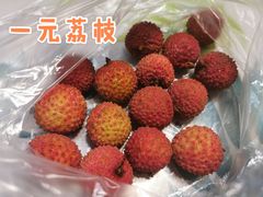 -百果园PAGODA(应元路店)