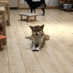 -菲菲羊乐园(临平银泰城店)