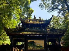 -青城甲(青城山店)