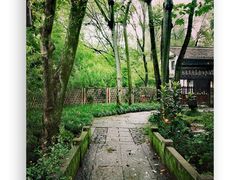 -西溪国家湿地公园