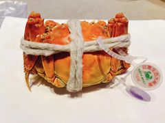 -奔海甄选·活鲜刺身铁板烧自助(太原里店)