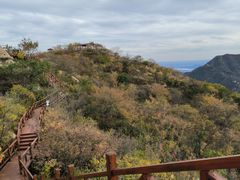 -大岭沟猕猴桃谷风景区