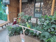 -南宫五洲植物乐园