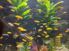 -常州海昌海洋探索馆