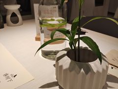 -春树下·树屋花房西餐厅(罍街AS1980店)