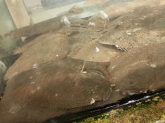 -华威西营里农产品批发市场