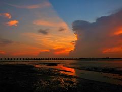 -宝安西湾红树林湿地公园