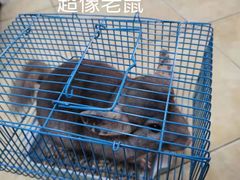 -龙猫仔乐园(惠福东路店)