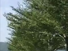 -亚龙湾国际玫瑰谷