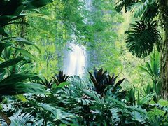 森林-飞瀑-温泉-广州锦绣香江度假别墅(官方直营店)