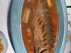 红烧黄河鲤鱼-阿五黄河大鲤鱼(英协路店)
