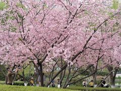 -白塘生态植物园