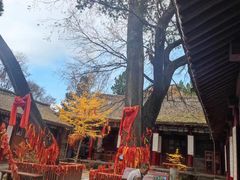 -少华山国家森林公园