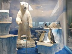 -国家自然博物馆